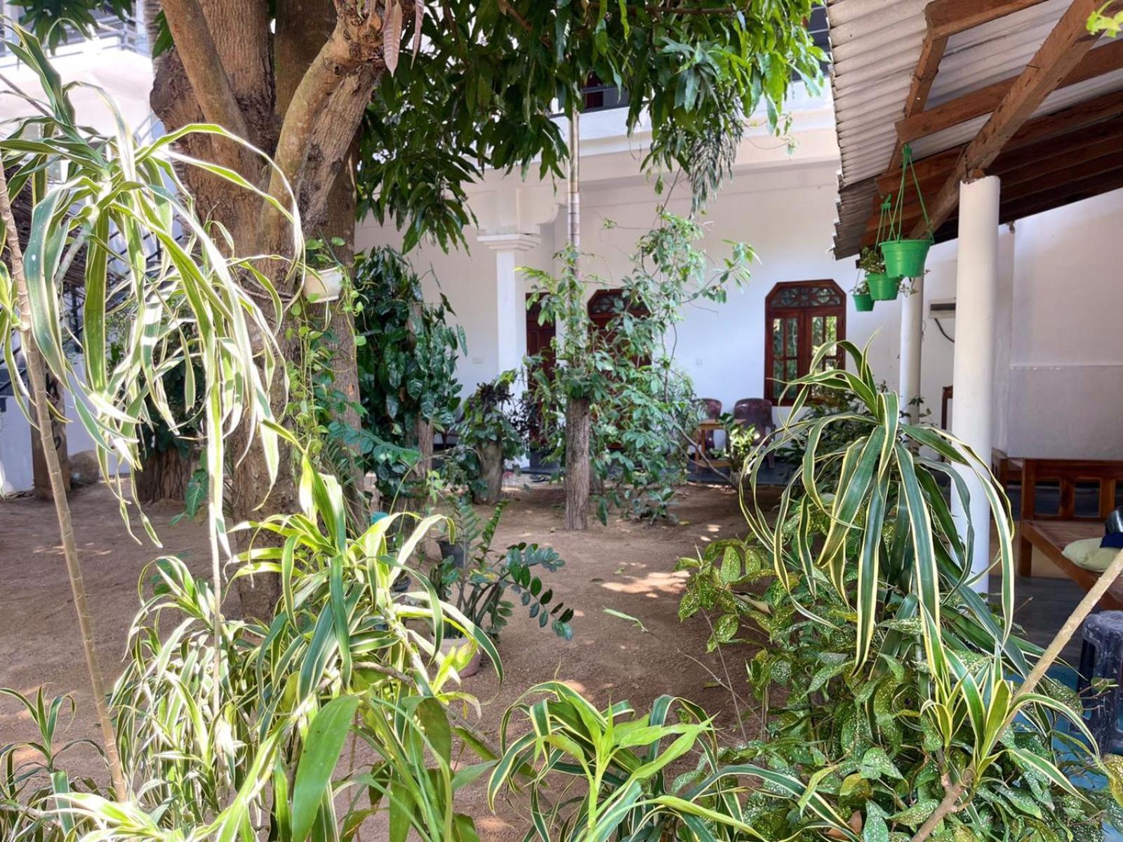 ארוגם Arugambay Village מראה חיצוני תמונה